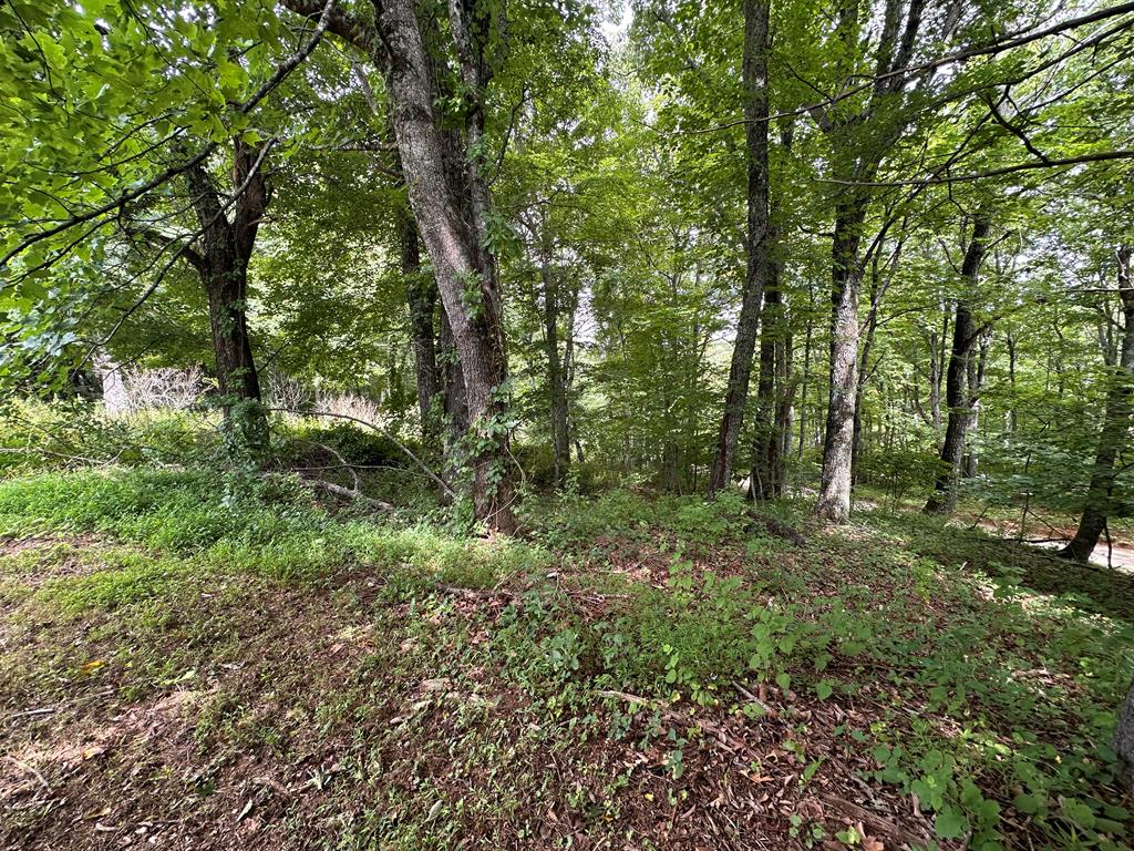 931 Countyline Church Road Southeast Floyd, VA 24091 - Photo 27 of 29 Gallery Image 27