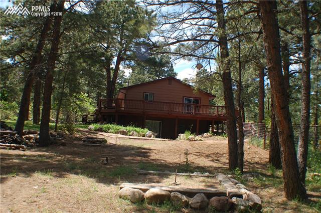 8143 Beth Drive Rye, CO 81069 - Photo 3 of 36 Gallery Image 3