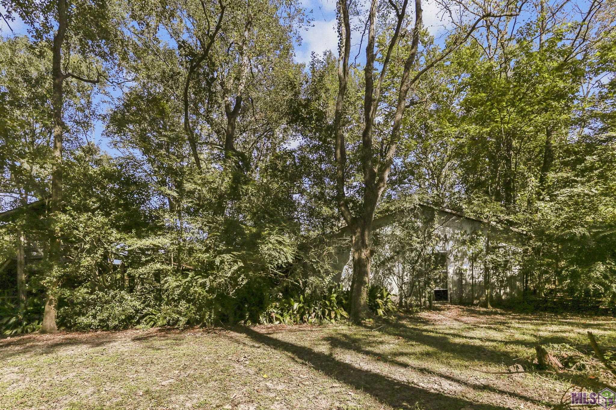 18658 Little Prairie Road Prairieville, LA 70769 - Photo 17 of 27