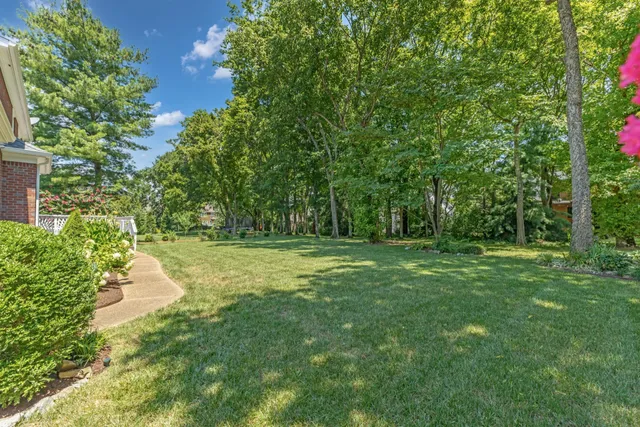 a view of outdoor space with deck and yard