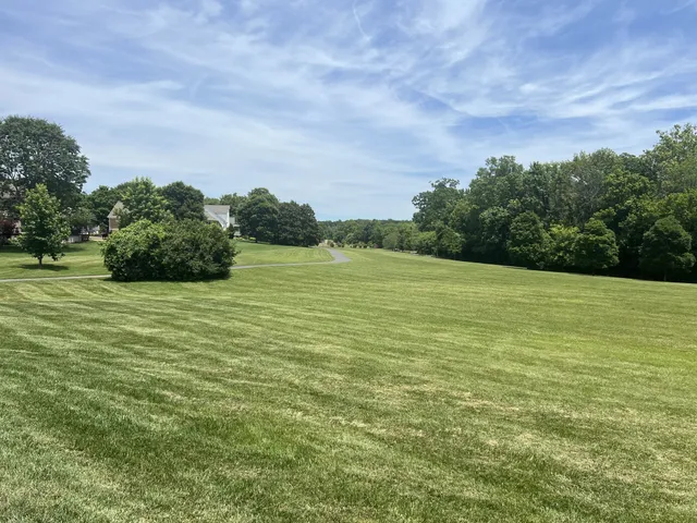 a view of a field with an ocean