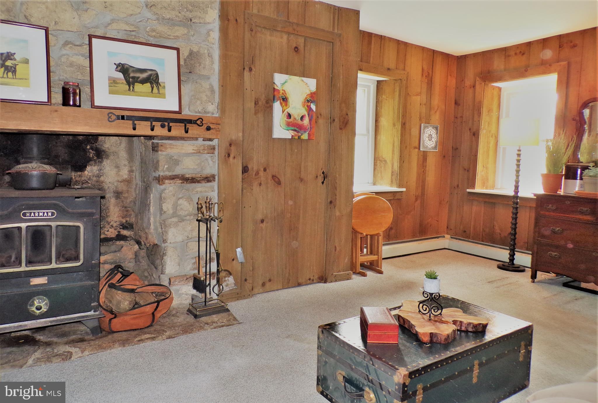 498 Dale Road Barto, PA 19504 - Photo 20 of 58 stone fireplace #2