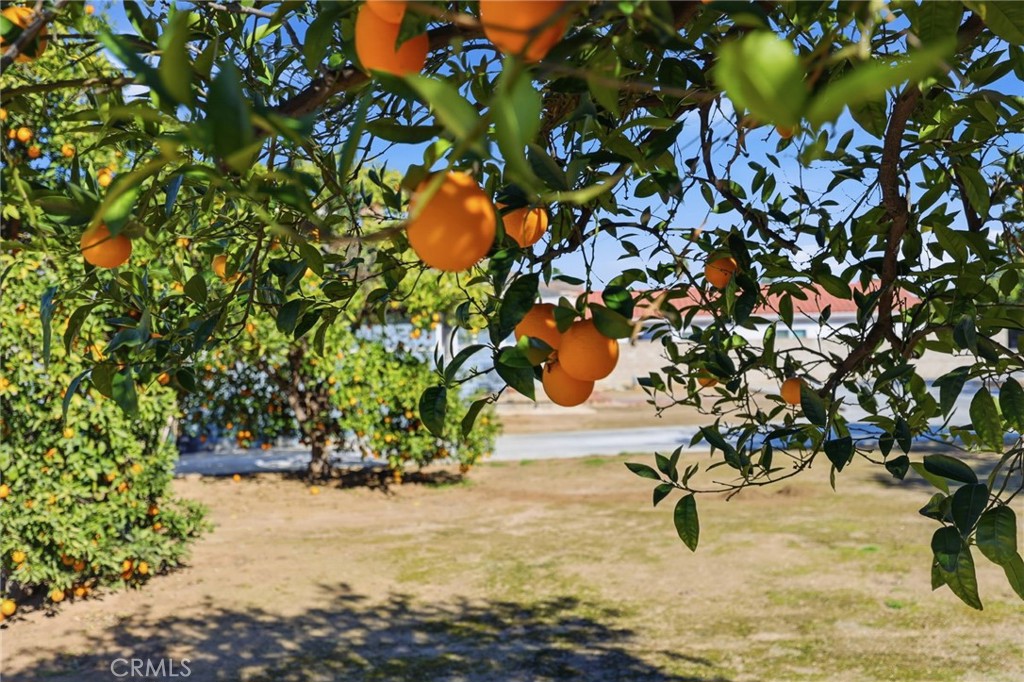 11135 Old Fashion Way Riverside, CA 92503 - Photo 36 of 47