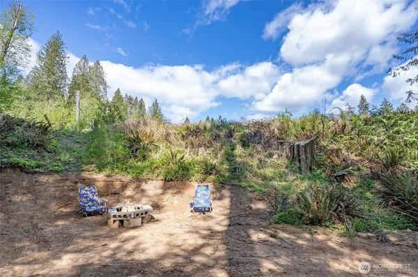 a view of a forest with sitting area