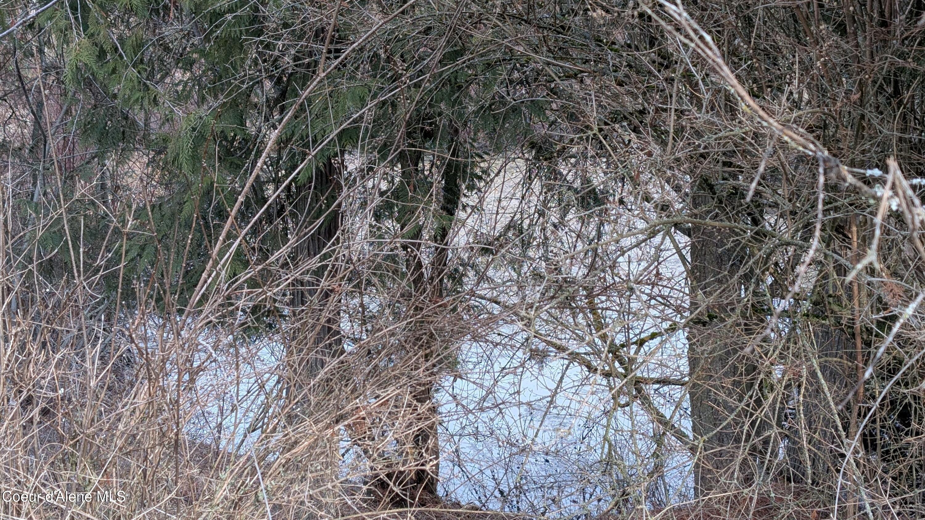 3176 Porthill Loop Bonners Ferry, ID 83805 - Photo 43 of 51 3176 pic 36