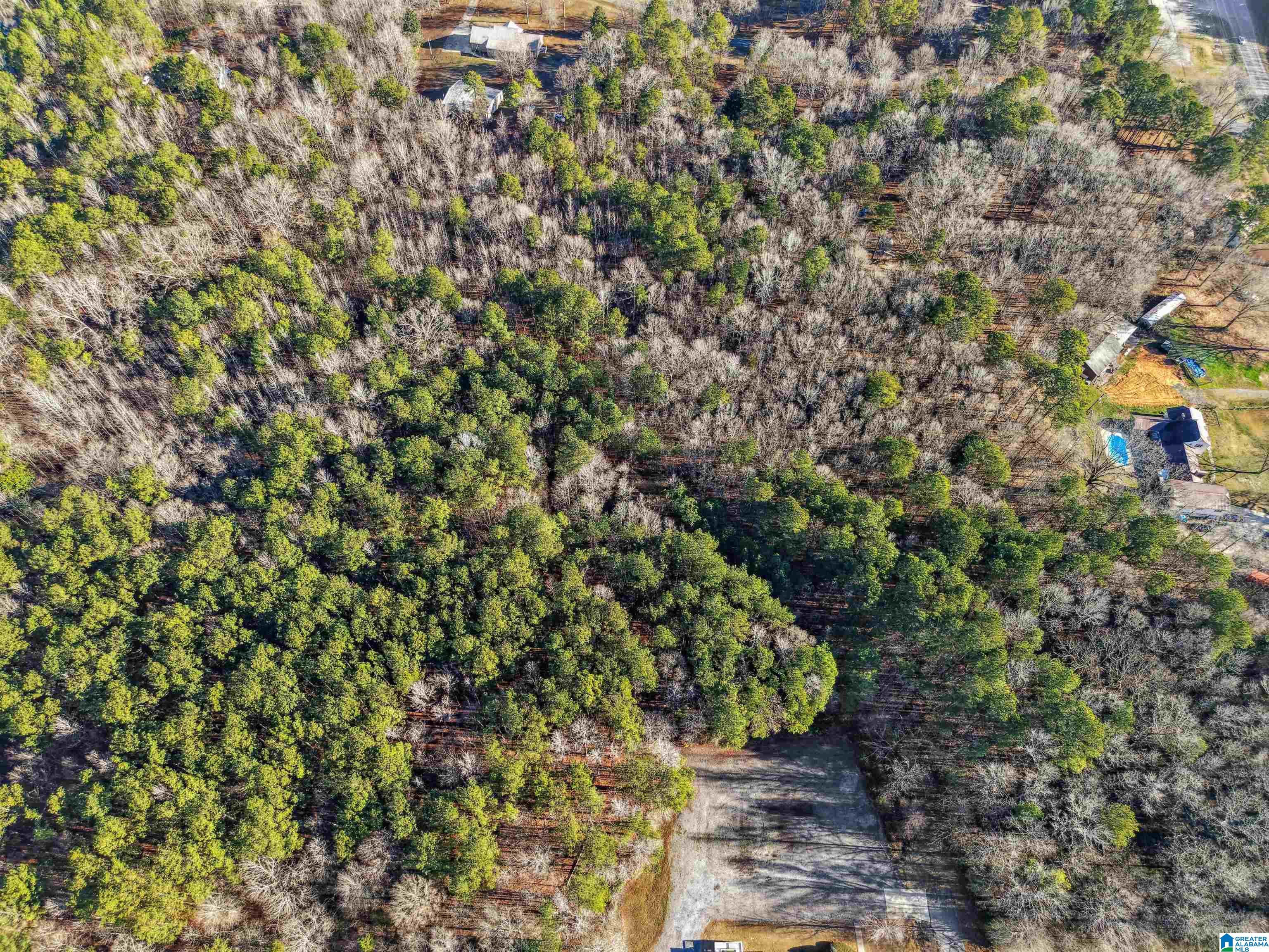 0 Branch Cove, Unit PHASE 2 Odenville, AL 35120 - Photo 25 of 32