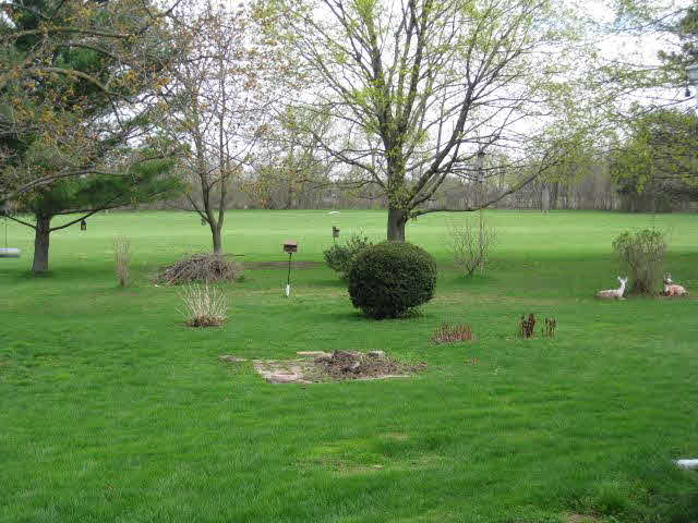 4024 East Dunbar Road Monroe, MI 48161 - Photo 8 of 8 20089017-7.JPG