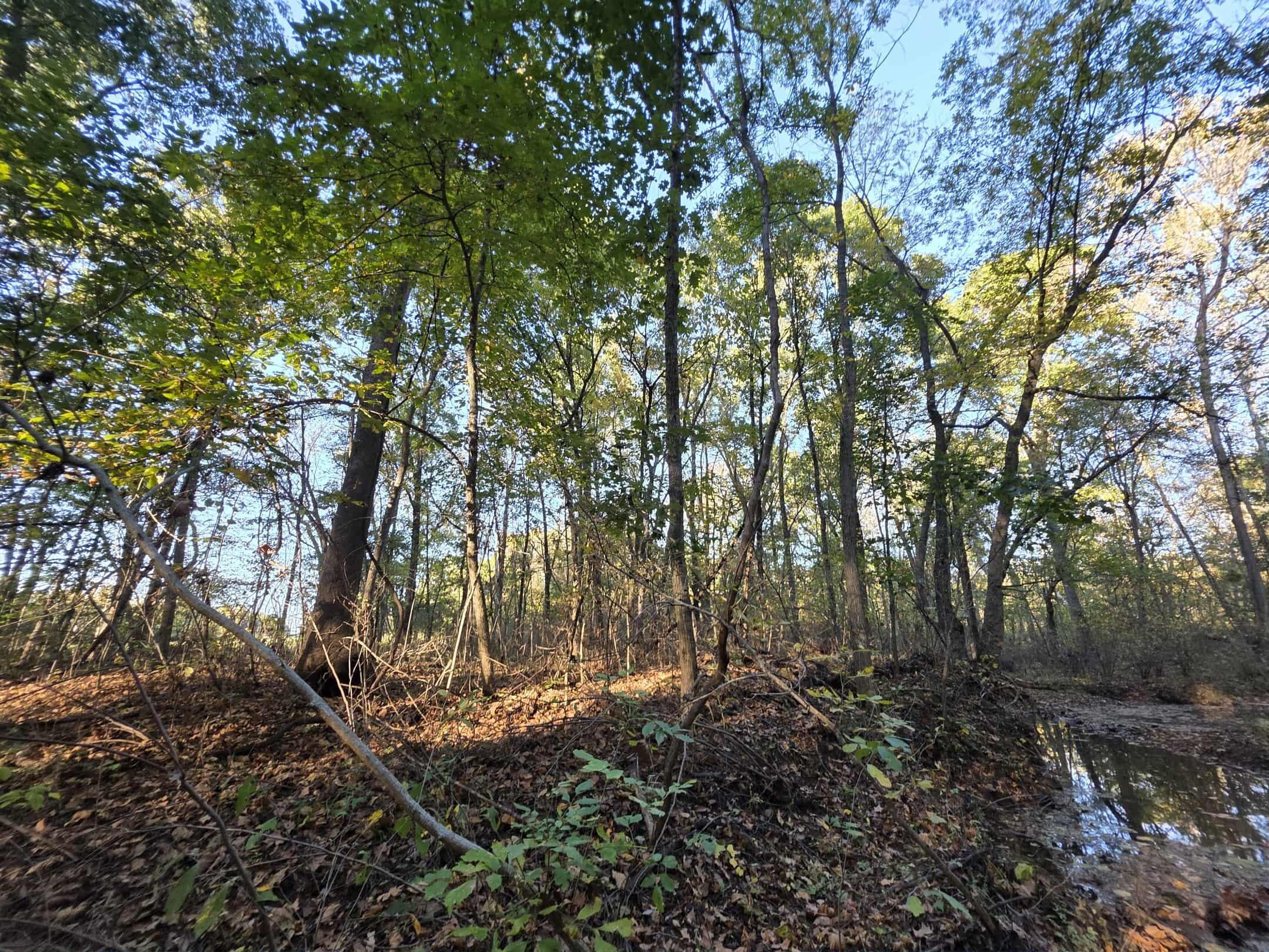 19180 East 920th Road Humansville, MO 65674 - Photo 42 of 61 33c0bfee-3c0b-48f8-b0c7-2b7ead17fa14