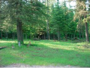 Lot 12 Cat Road Priest River, ID 83856 - Photo 2 of 4 Gallery Image 2