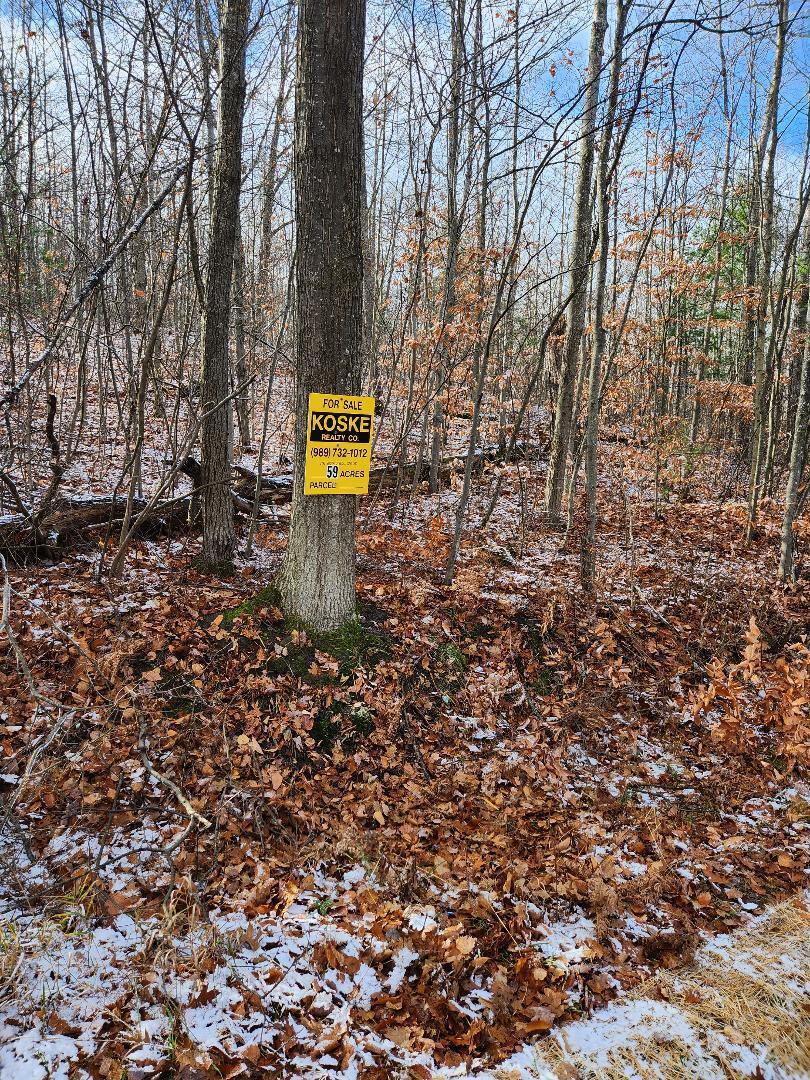 Marlette Road Frederic, MI 49733 - Photo 15 of 25 Gallery Image 15