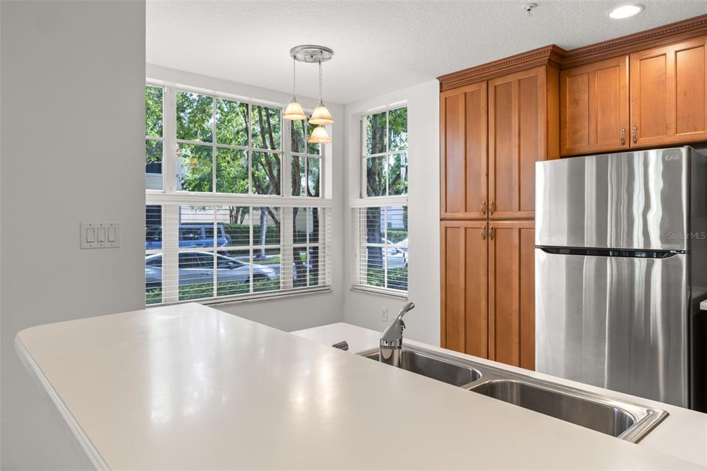 844 Blue Sage Street, Unit 104 Celebration, FL 34747 - Photo 20 of 73