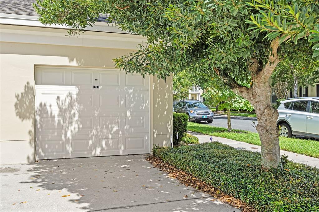 844 Blue Sage Street, Unit 104 Celebration, FL 34747 - Photo 47 of 73