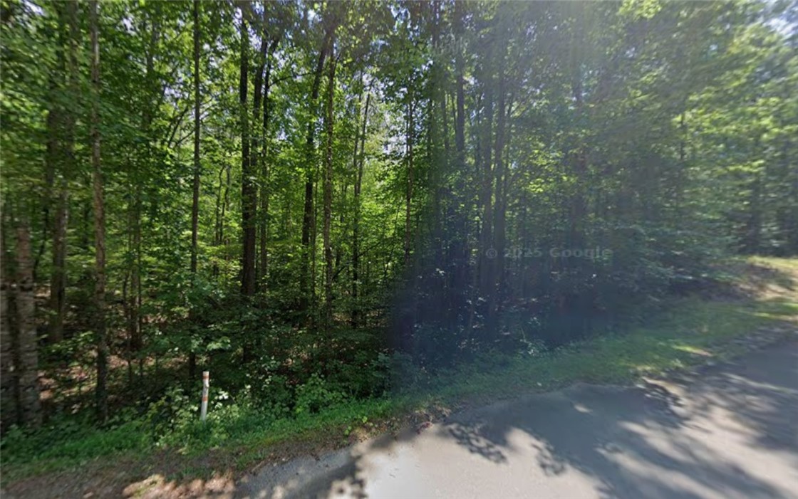 651 Sequoia Trail Westminster, SC 29693 - Photo 22 of 24 Mature trees line this tranquil lot, offering natural privacy and a verdant backdrop for a future home.