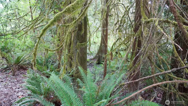 $100,000 | 113-xx 312th Avenue Northeast, Carnation, WA 98014