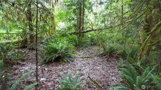 $100,000 | 113-xx 312th Avenue Northeast, Carnation, WA 98014