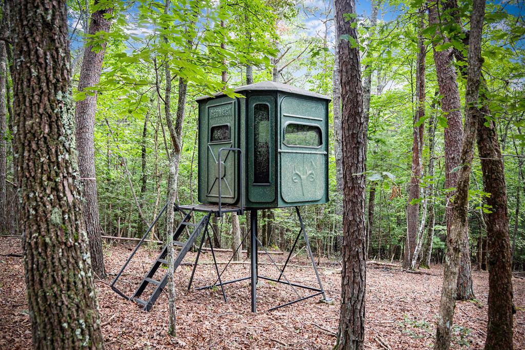1281 Deavers Road Blairsville, GA 30512 - Photo 84 of 90 Gallery Image 84
