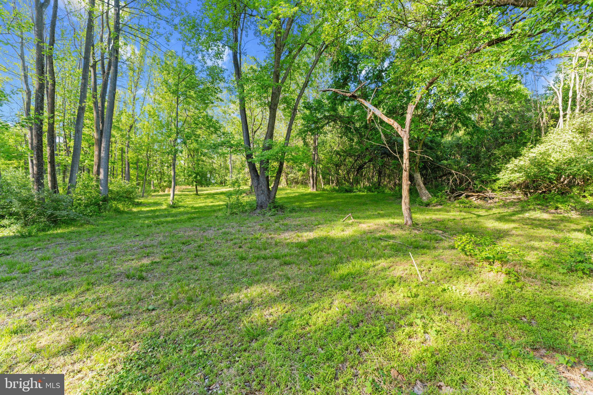 4705 Enterprise Road Bowie, MD 20720 - Photo 11 of 22