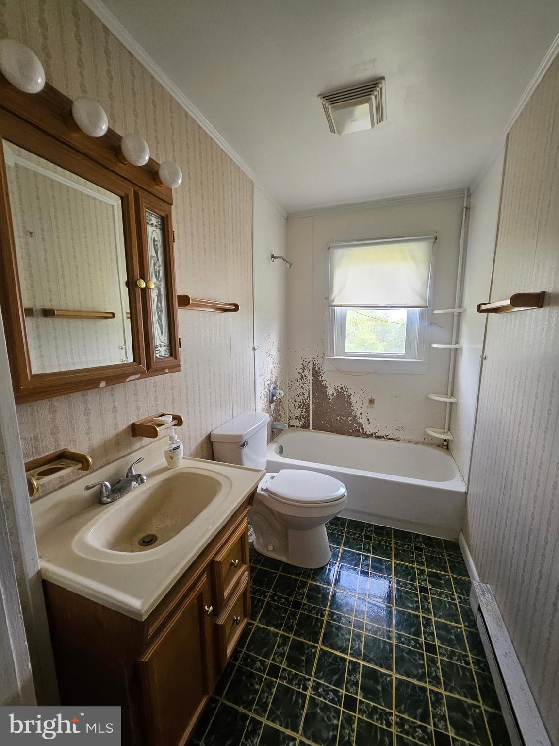 153 Rocky Ford Road Clear Brook, VA 22624 - Photo 12 of 22 Full Bath on Main Level