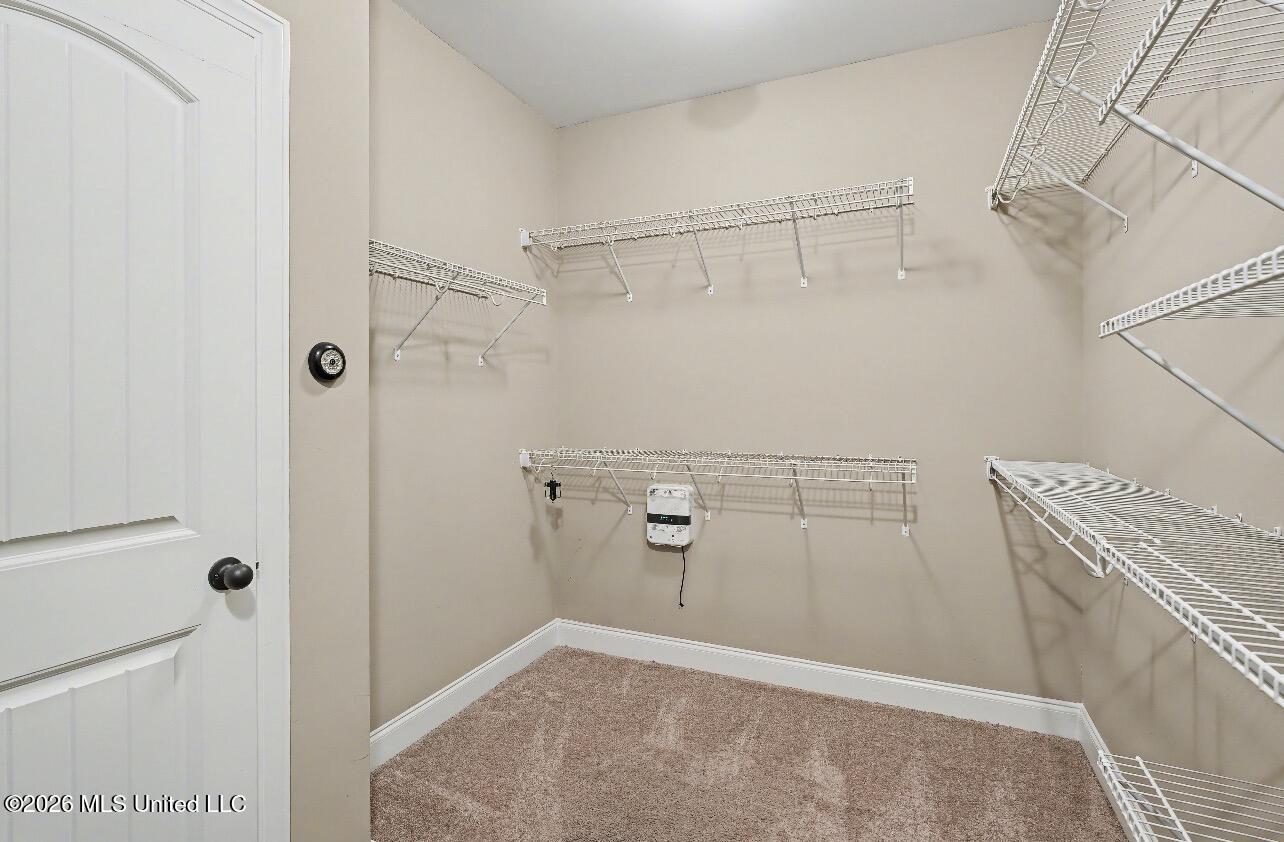 604 Rowan Oak Place Hernando, MS 38632 - Photo 14 of 31 IMG_9850