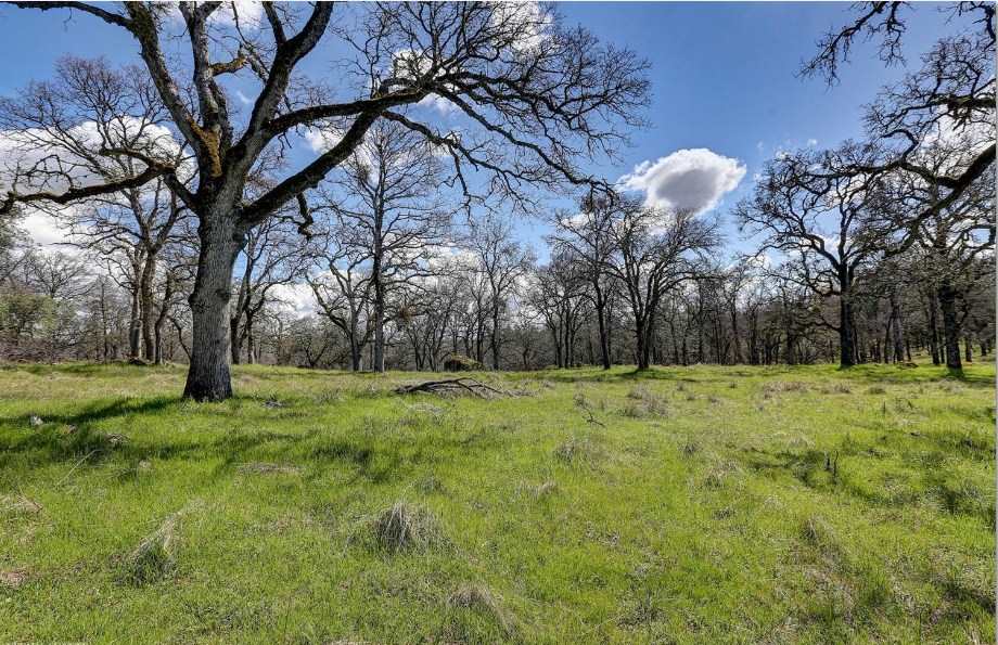 23826 Fagerlie Road Auburn, CA 95602 - Photo 20 of 21 Gallery Image 20