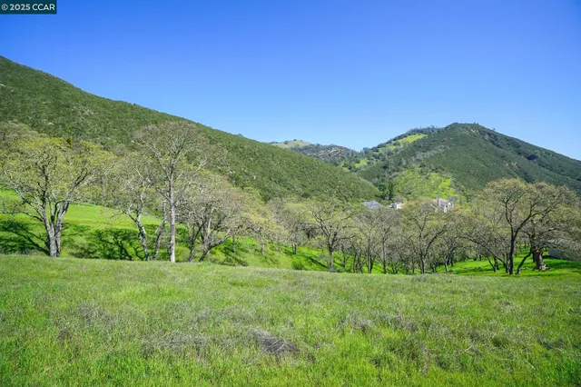 a view of green field with mountains in the background
