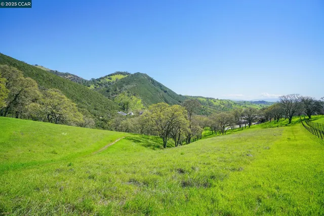 a view of a lush green outdoor space with a mountain