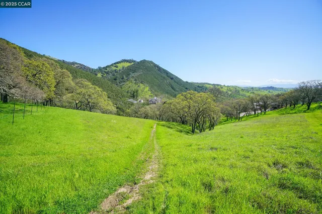 a view of a lush green outdoor space with a mountain in the background