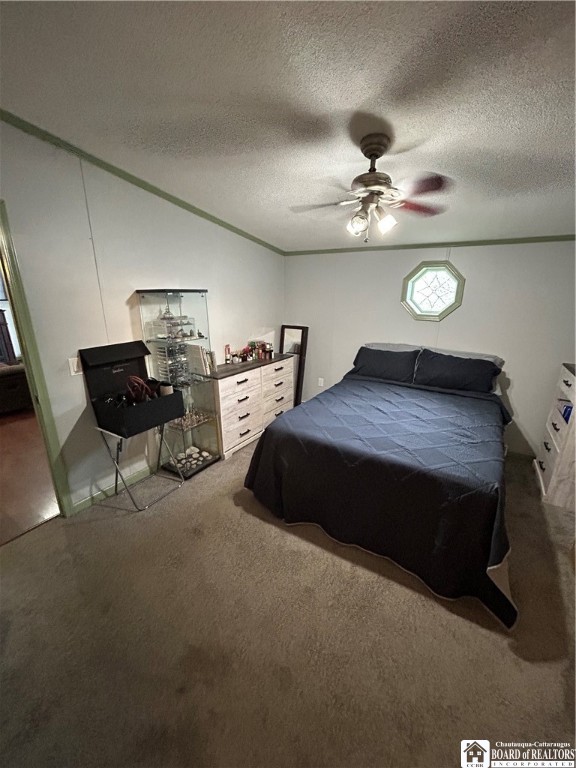 8436 South Hill Road Villenova, NY 14138 - Photo 37 of 47