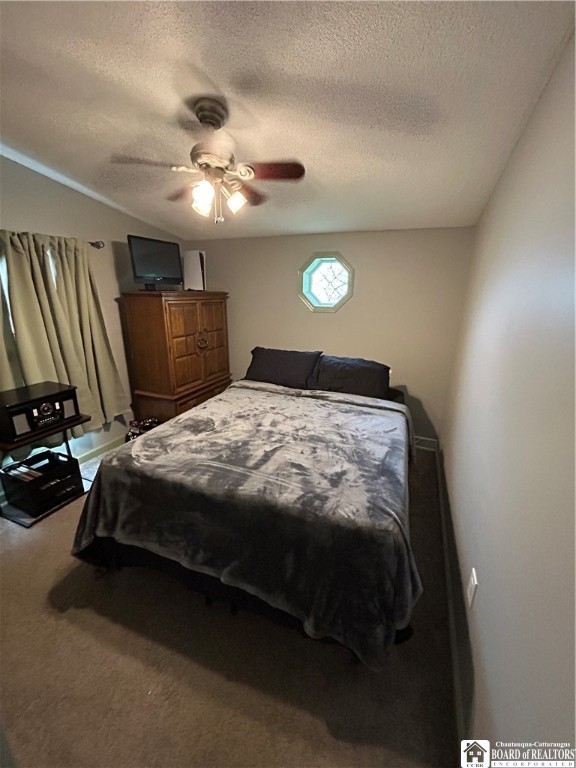 8436 South Hill Road Villenova, NY 14138 - Photo 40 of 47