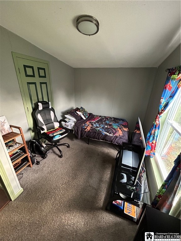 8436 South Hill Road Villenova, NY 14138 - Photo 42 of 47