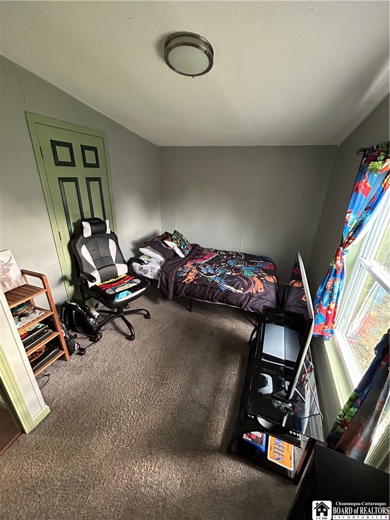 8436 South Hill Road Villenova, NY 14138 - Photo 42 of 47