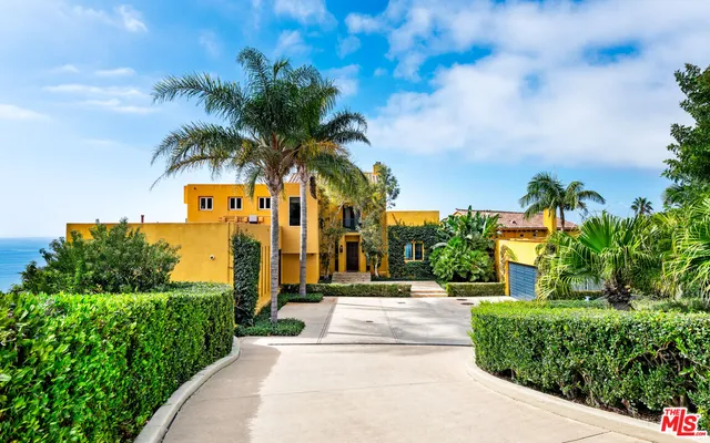 a view of a park with palm trees