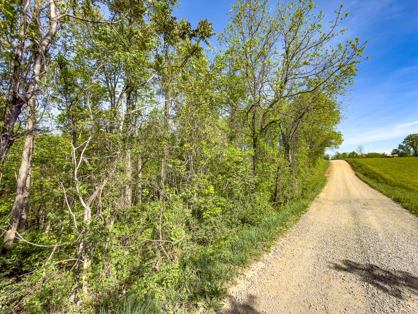 2 Perry Ridge Road Wilkesville, OH 45695 - Photo 4 of 27 Perry Ridge Rd Tract 2-2