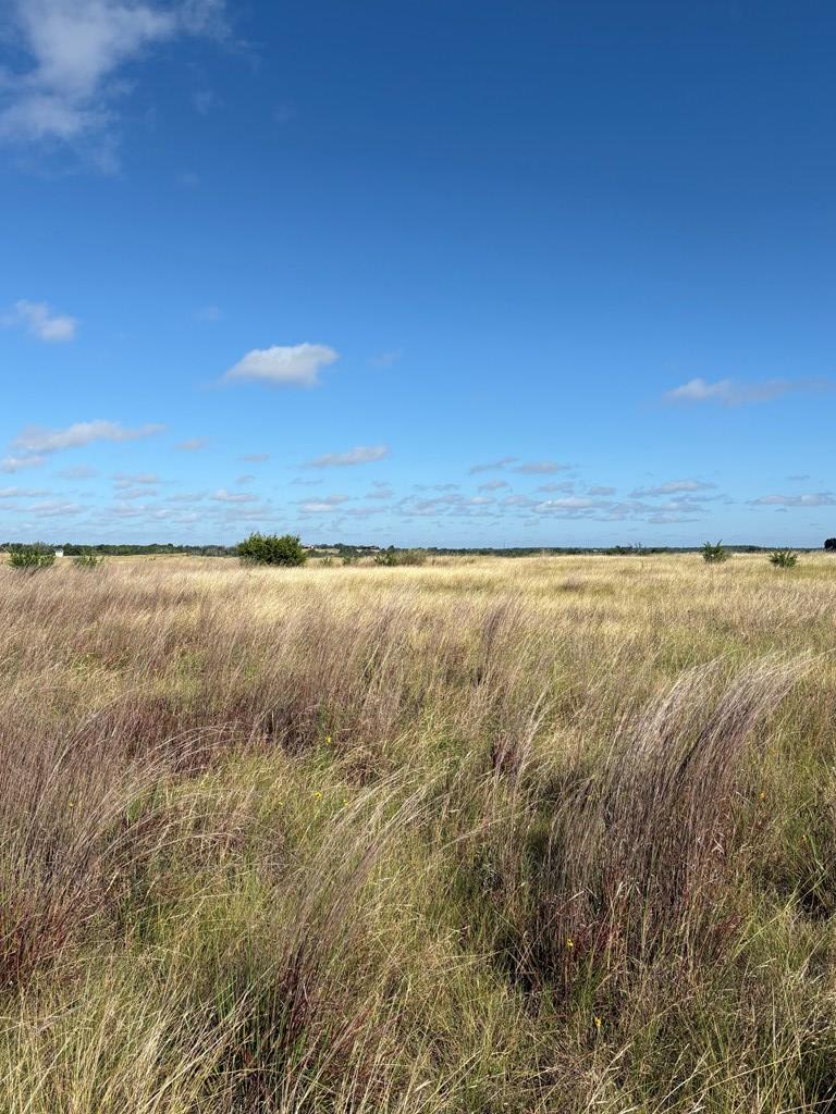 275 Painted Pony Road Harper, TX 78631 - Photo 6 of 9