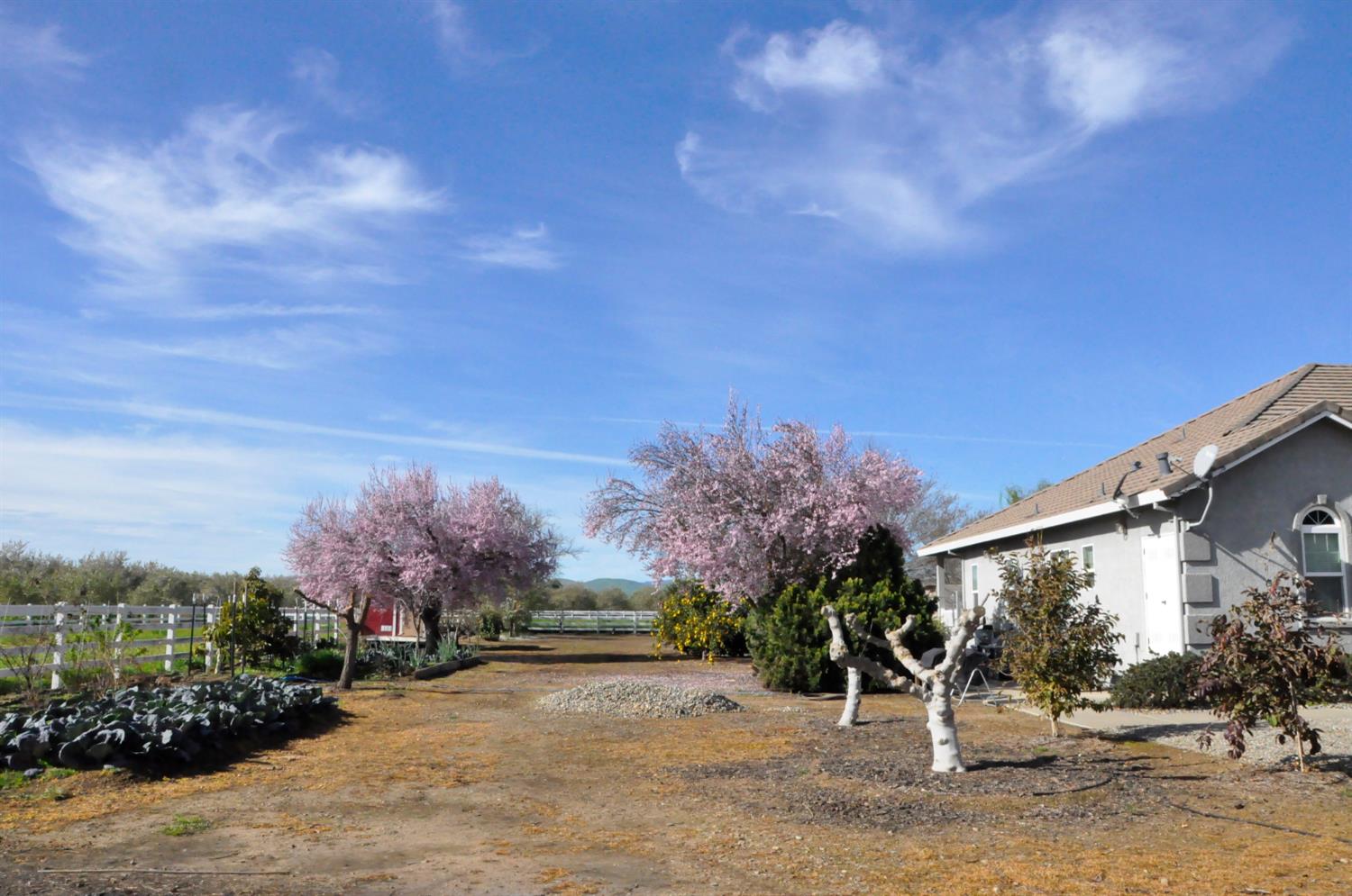 18413 Sycamore Avenue Patterson, CA 95363 - Photo 51 of 98