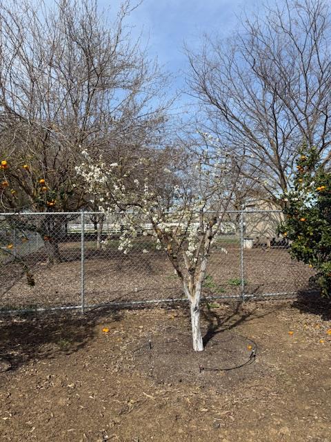 18413 Sycamore Avenue Patterson, CA 95363 - Photo 87 of 98