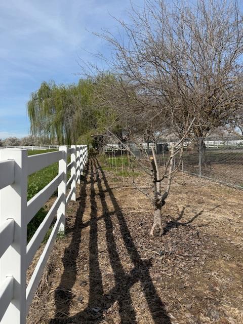 18413 Sycamore Avenue Patterson, CA 95363 - Photo 88 of 98