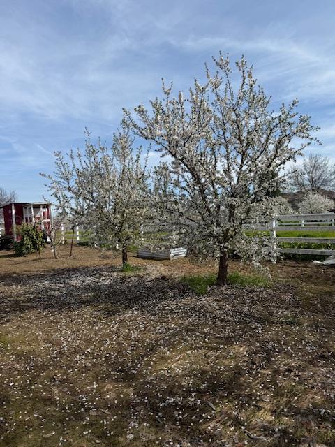 18413 Sycamore Avenue Patterson, CA 95363 - Photo 89 of 98