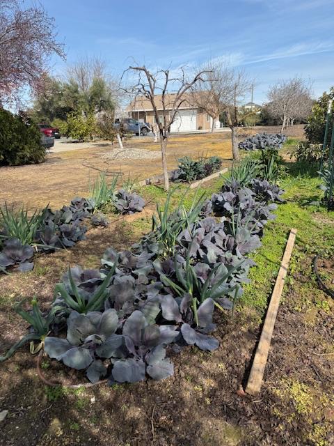 18413 Sycamore Avenue Patterson, CA 95363 - Photo 90 of 98