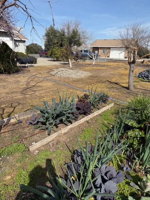 18413 Sycamore Avenue Patterson, CA 95363 - Photo 91 of 98