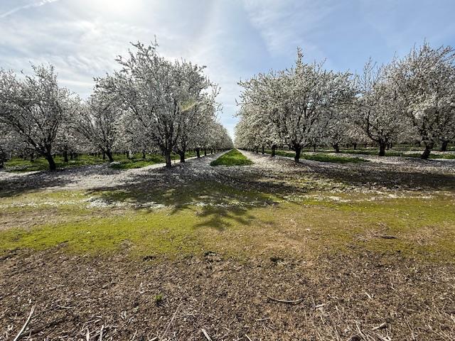 18413 Sycamore Avenue Patterson, CA 95363 - Photo 93 of 98