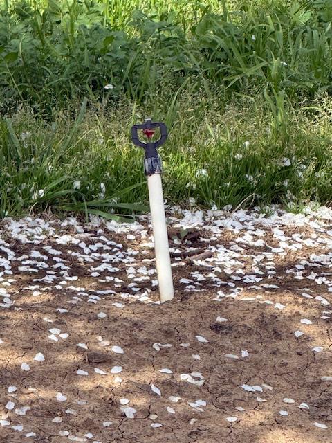 18413 Sycamore Avenue Patterson, CA 95363 - Photo 98 of 98