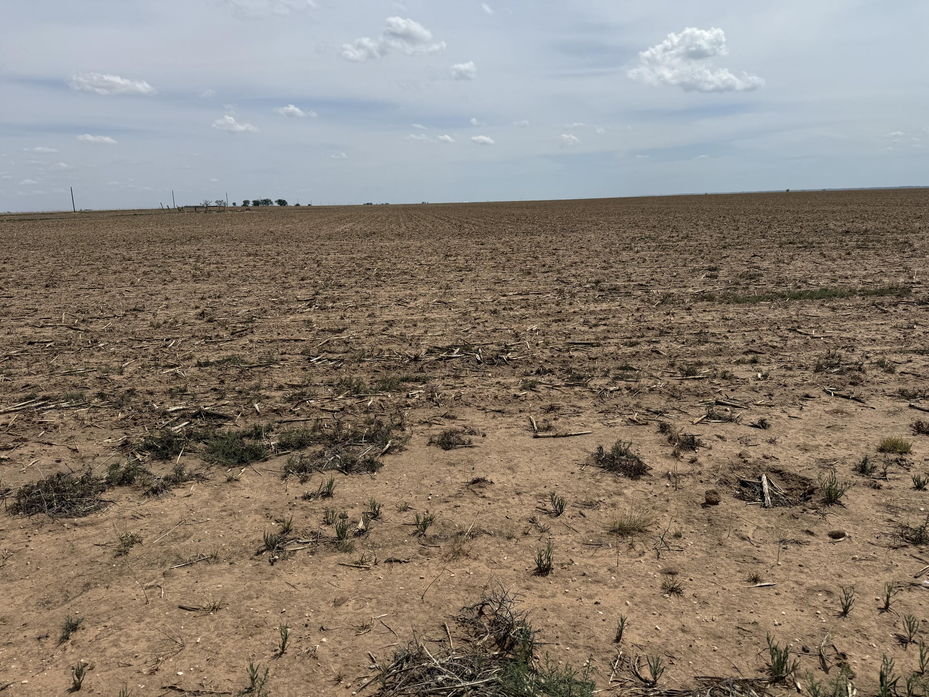151 Co Road Littlefield, TX 79339 - Photo 2 of 4 IMG_3624