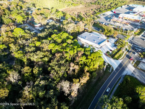 a close up of a tree