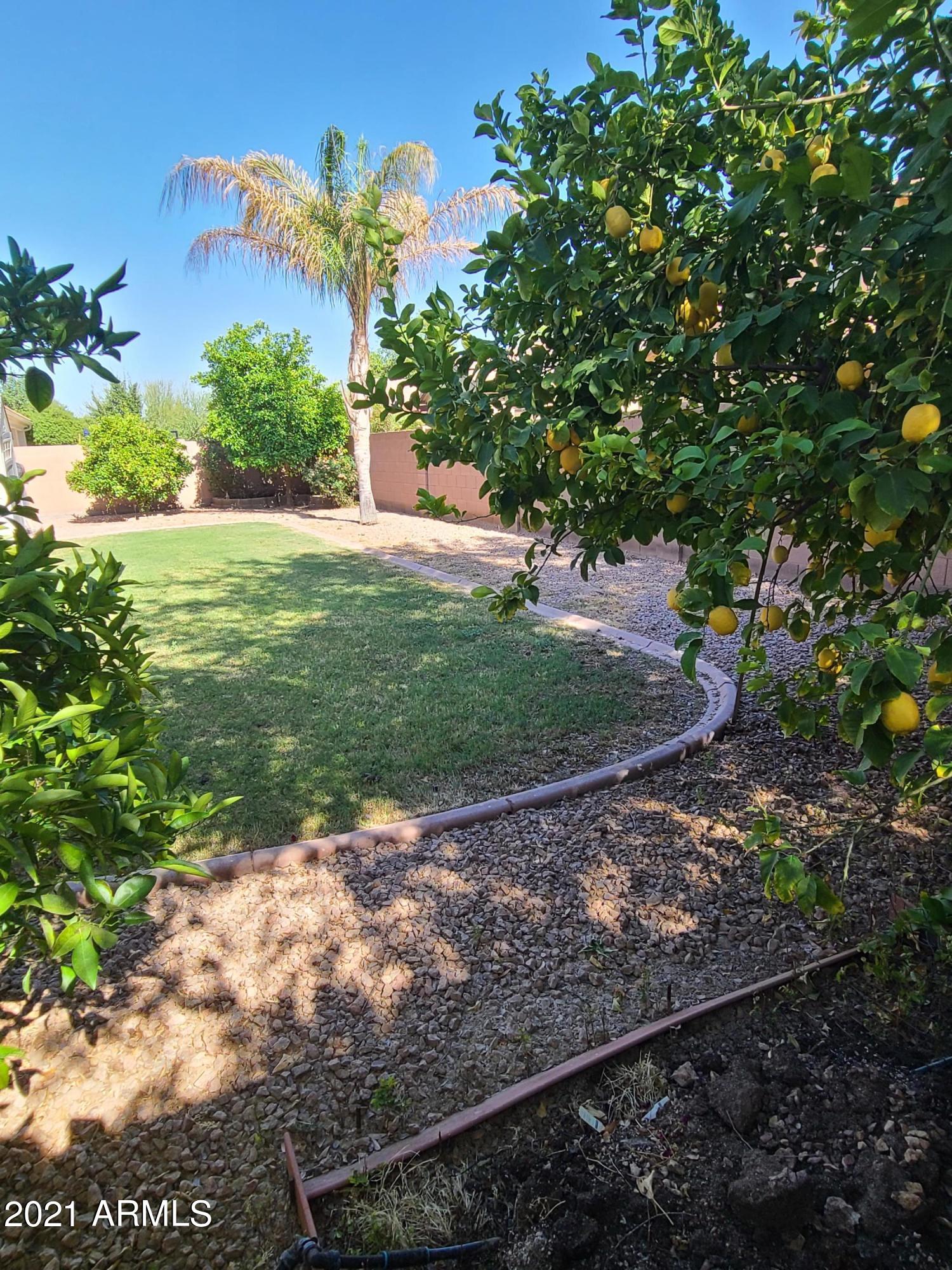 1319 East Bautista Road Gilbert, AZ 85297 - Photo 38 of 40 20210503_155210