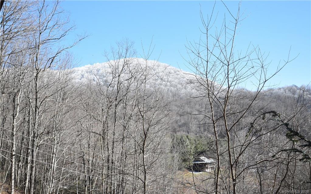 377 Mule Stomp Road Clyde, NC 28721 - Photo 9 of 24 Gallery Image 9