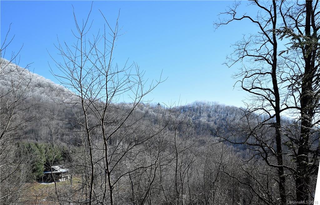 377 Mule Stomp Road Clyde, NC 28721 - Photo 10 of 24 Gallery Image 10