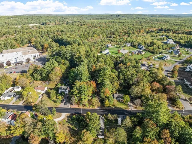 a view of a tree with a street