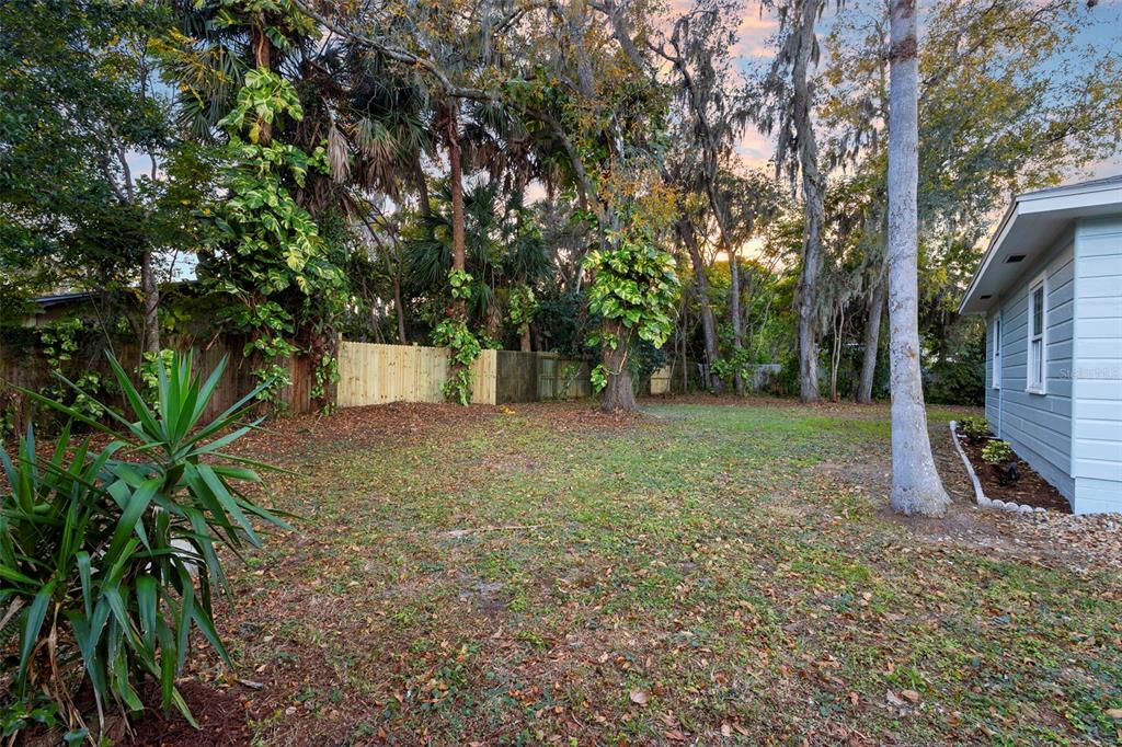 124 Evergreen Avenue Edgewater, FL 32132 - Photo 33 of 36 a backyard of a house with entertaining space