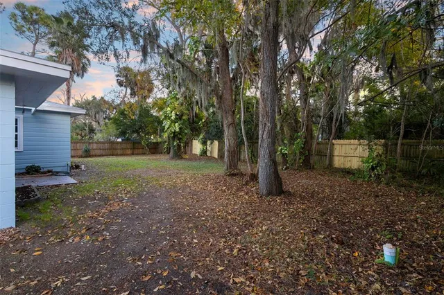 a view of a backyard with trees
